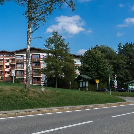 Am Mit Balkon & Pool Schluchsee