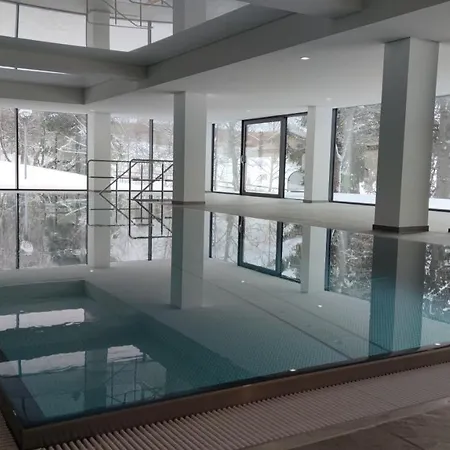 Apartament Am Mit Balkon & Pool Schluchsee